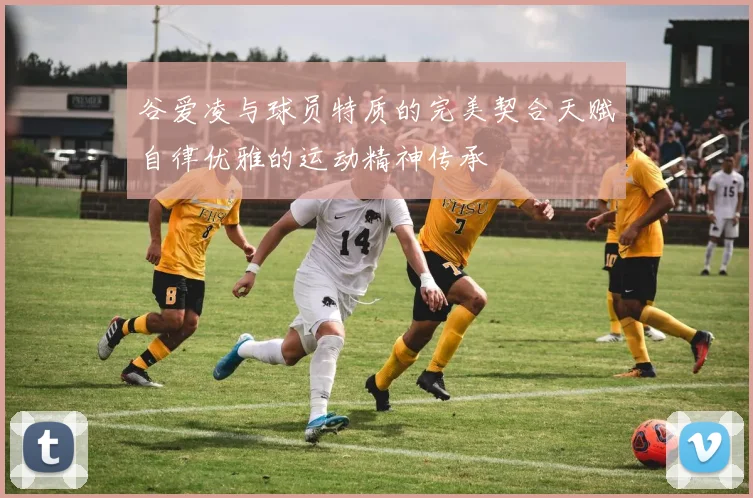 谷爱凌与球员特质的完美契合天赋自律优雅的运动精神传承