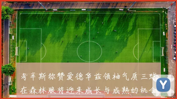 考辛斯称赞爱德华兹领袖气质三球在森林狼将迎来成长与成熟的机会