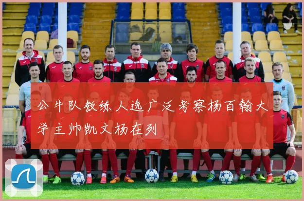 公牛队教练人选广泛考察杨百翰大学主帅凯文杨在列