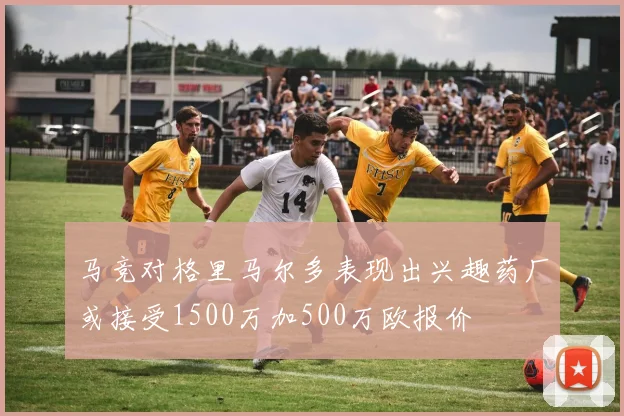 马竞对格里马尔多表现出兴趣药厂或接受1500万加500万欧报价